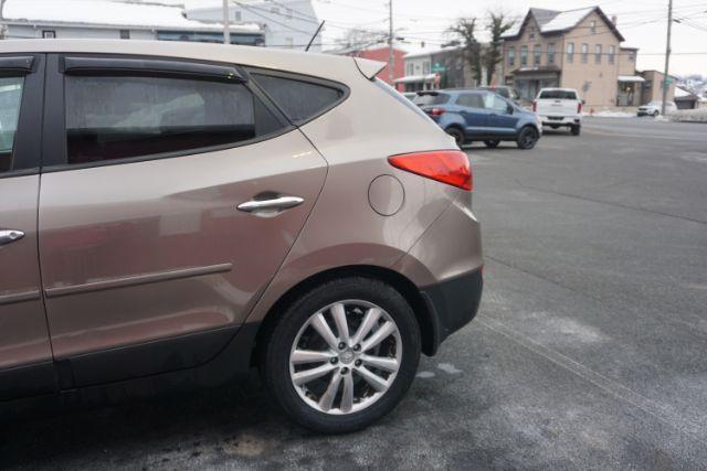 2010 Chai Bronze Metallic Hyundai Tucson Limited 4WD (KM8JUCAC1AU) with an 2.4L L4 DOHC 16V engine, 6-Speed Automatic transmission, located at 312 Centre Ave, Schuylkill Haven, PA, 17972, (570) 593-5278, 40.638130, -76.177383 - Photo#7